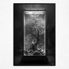 Load image into Gallery viewer, Crimson Captivation (Framed Poster)