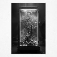 Load image into Gallery viewer, Crimson Captivation (Poster)
